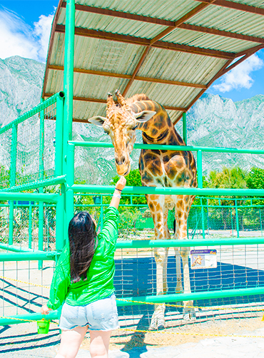 Zoológico Xenpal Centro Ecológico en Monterrey