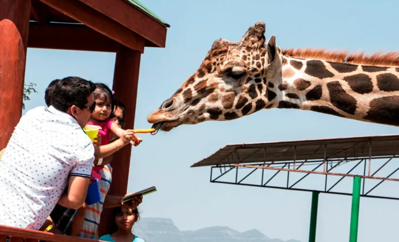 Zoológico Xenpal - Attracciones en Monterrey, Nuevo León