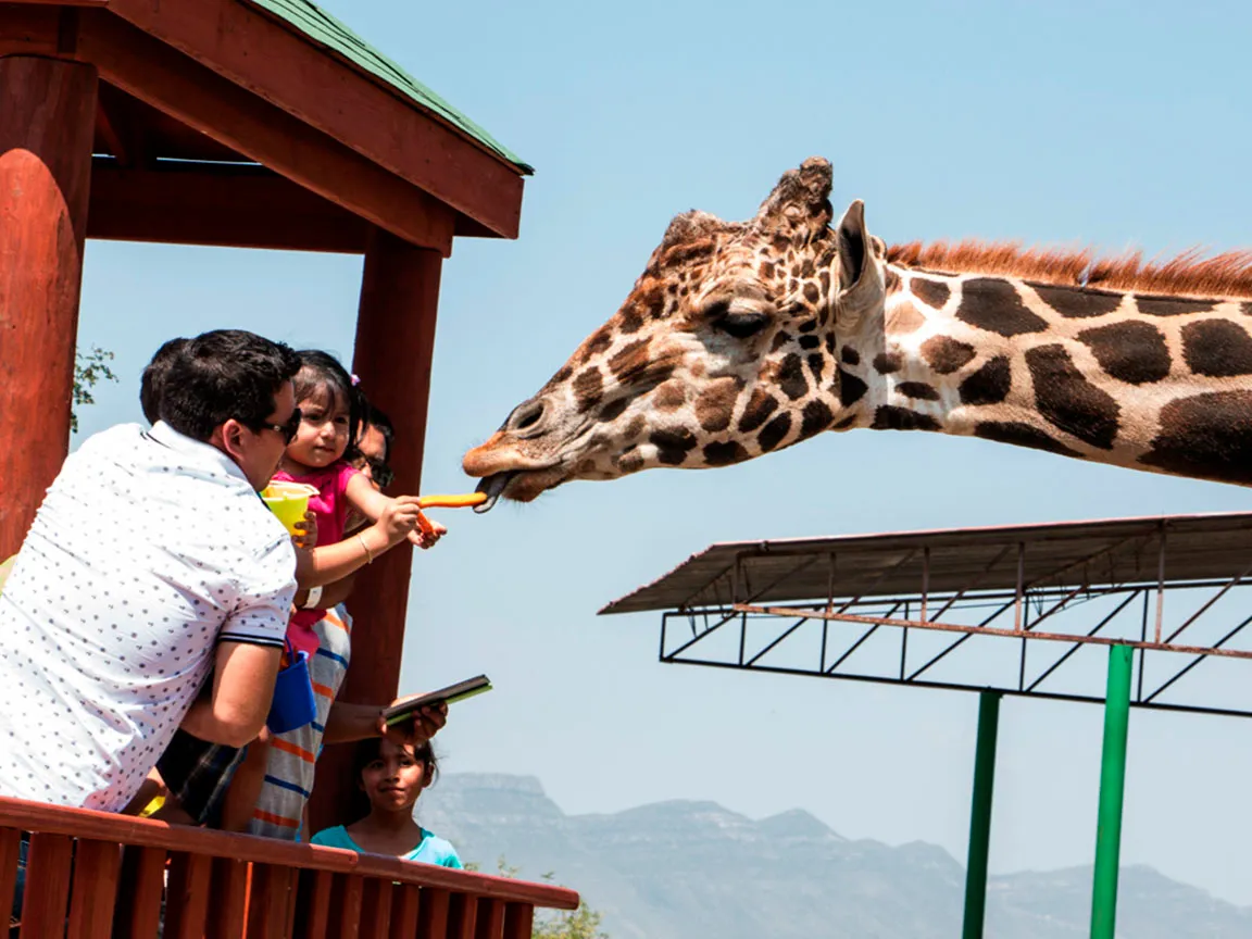 Zoológico Xenpal - Attracciones en Monterrey, Nuevo León